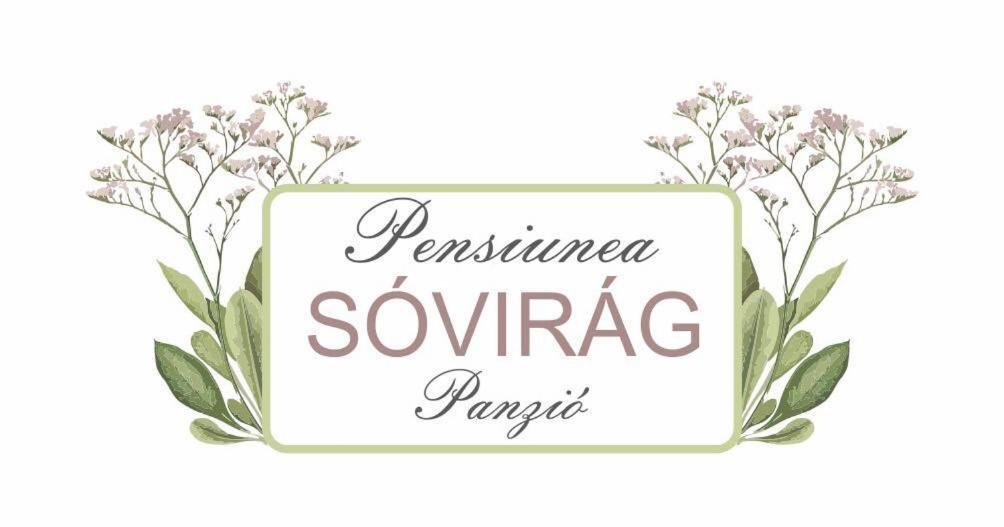 Pensiunea Sovirag Sic Exterior foto